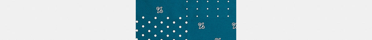 Horse And Carriage Dot Print Silk Bandana