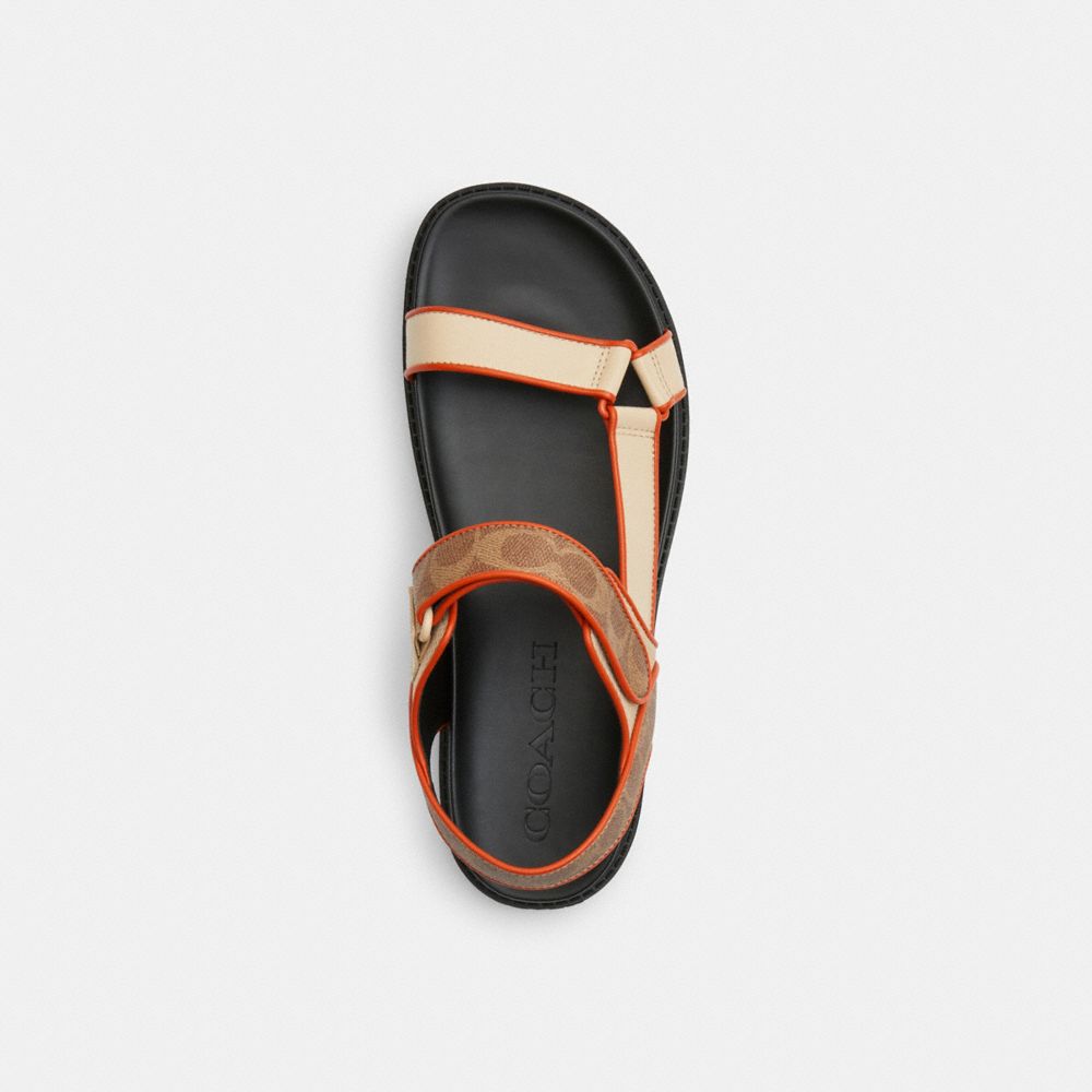 Sport Sandal In Signature Canvas