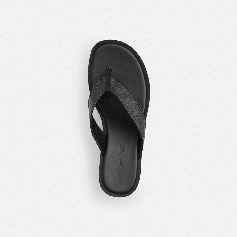 Thong Wedge Sandal In Signature Canvas