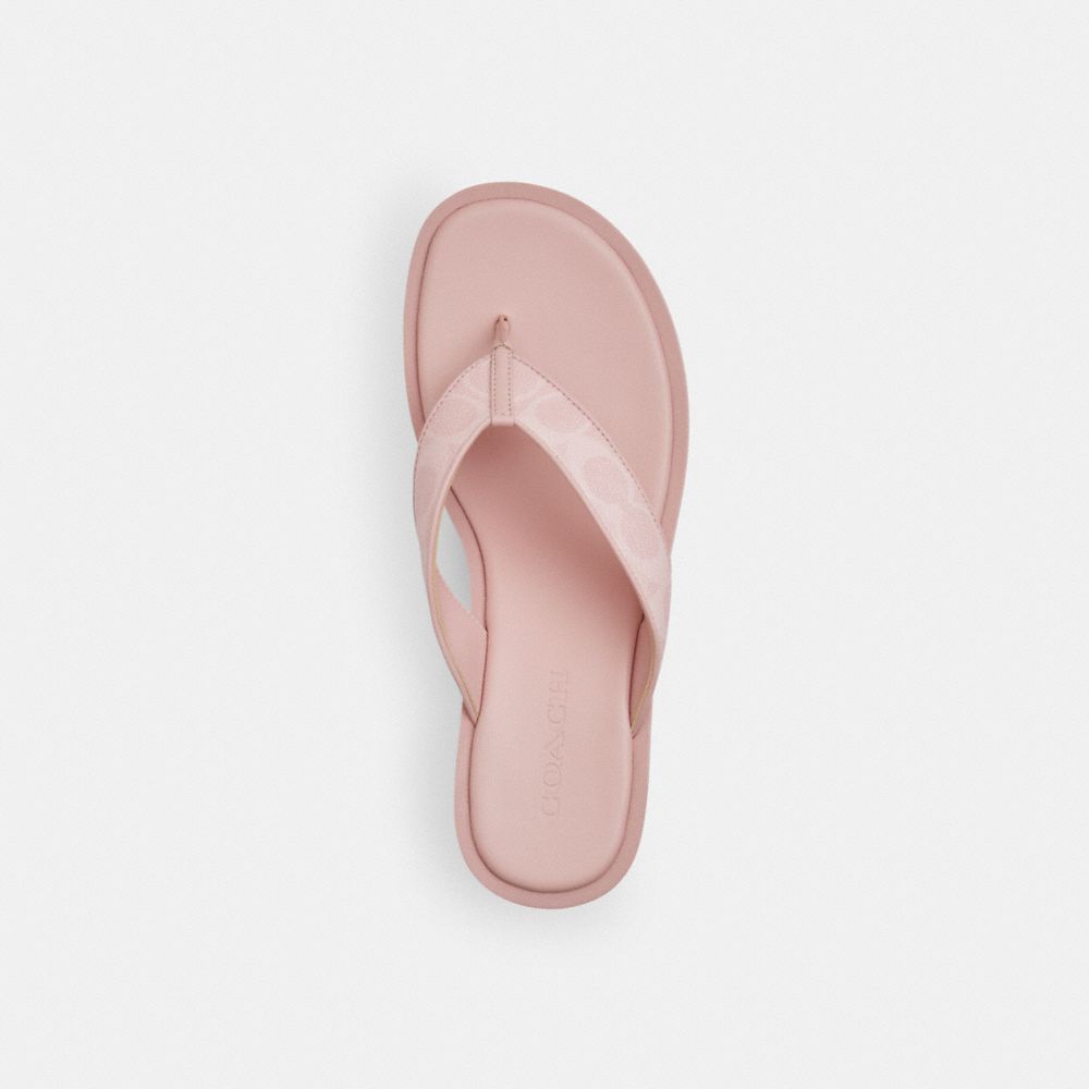 Thong Wedge Sandal In Signature Canvas