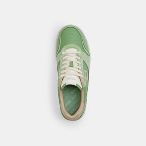 Soho Sneaker