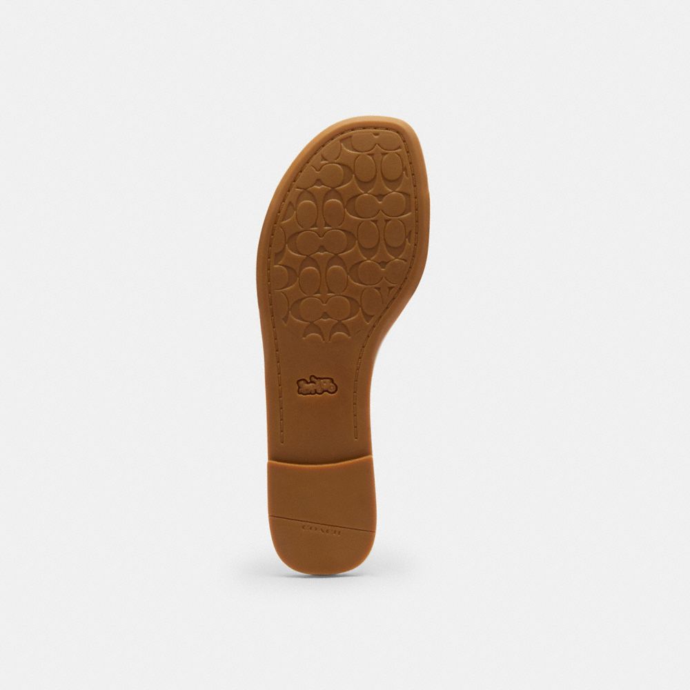 Slide Sandal