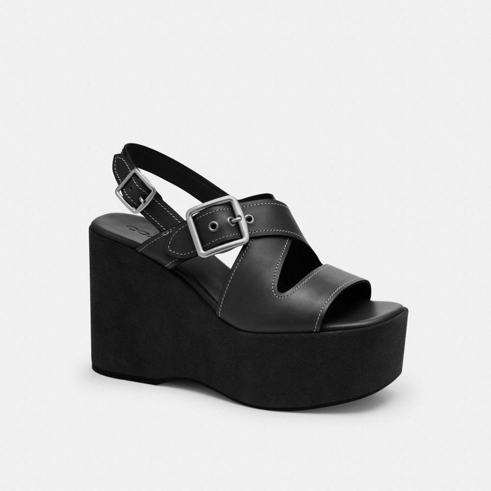 Archival Buckle Wedge