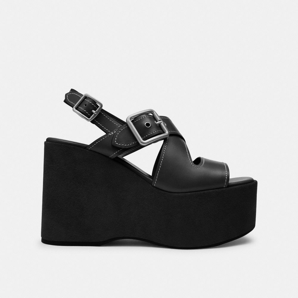 Archival Buckle Wedge
