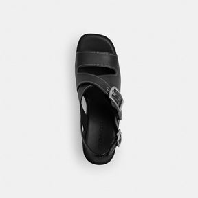 Archival Buckle Wedge