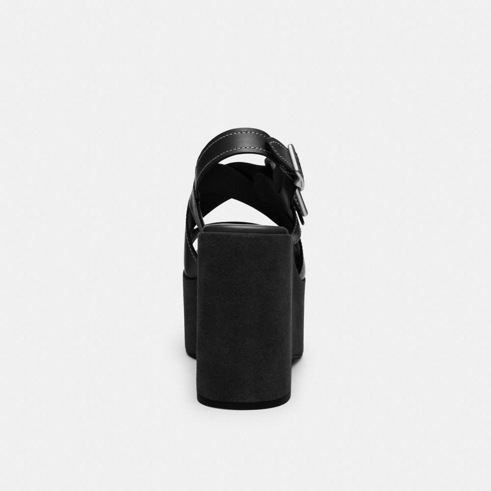 Archival Buckle Wedge