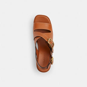 Archival Buckle Wedge