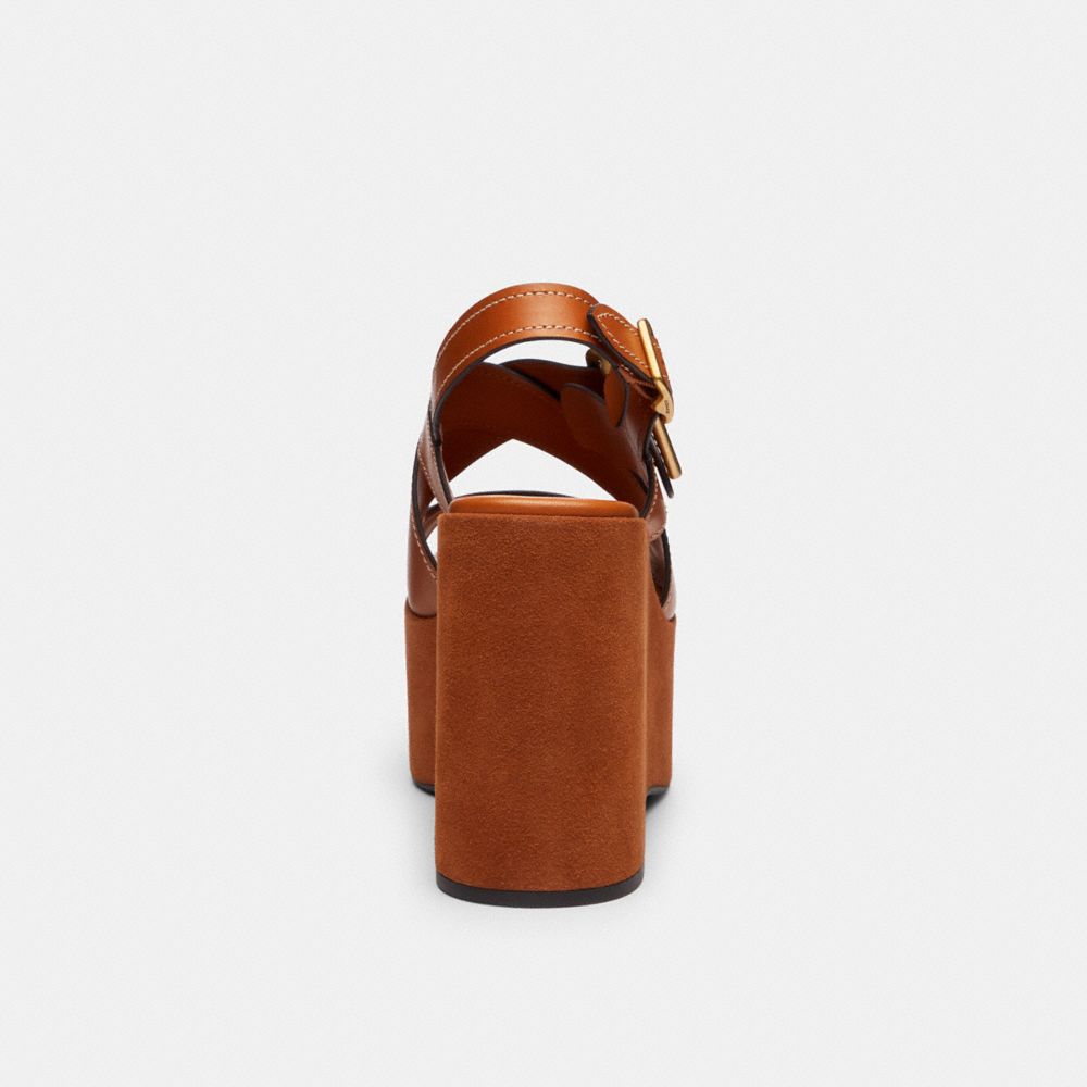 Archival Buckle Wedge