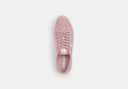 Canvas Sneaker