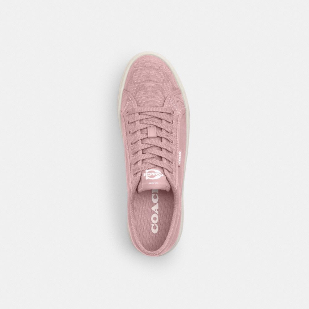 Canvas Sneaker