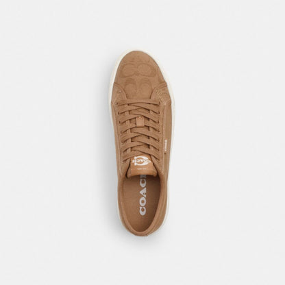 Canvas Sneaker