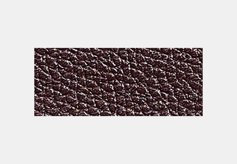 Restored Small Snap Wallet