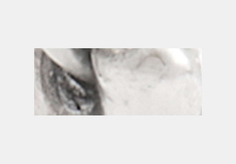 Bone Single Earring