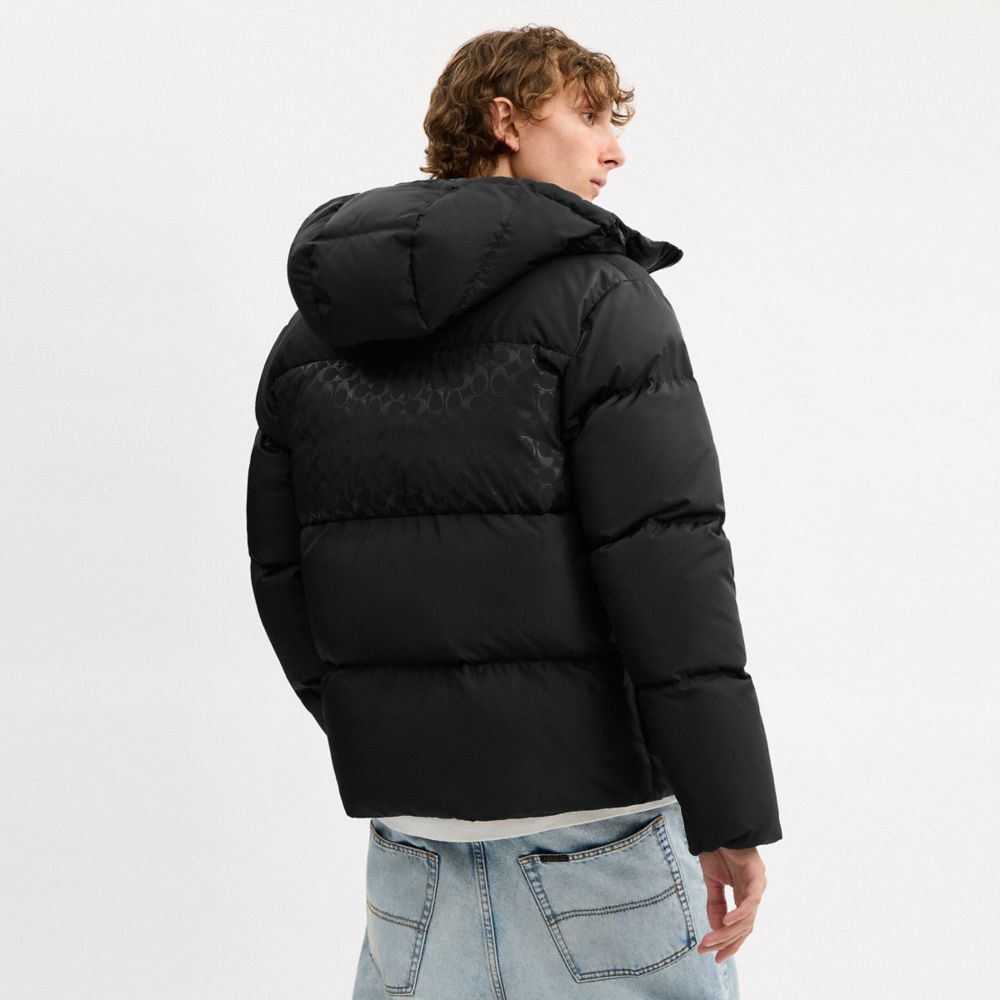 Colorblock Down Jacket