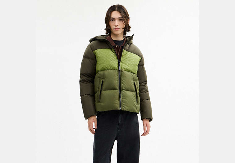 Colorblock Down Jacket