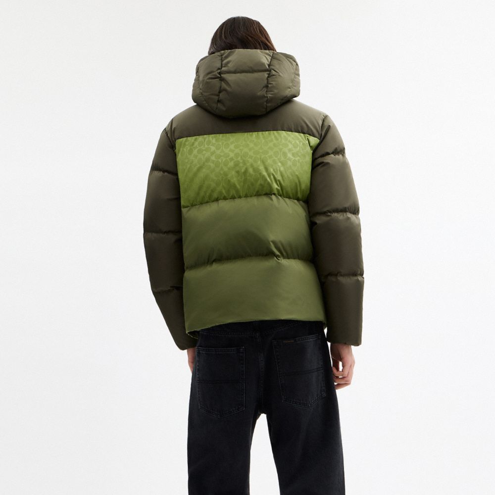 Colorblock Down Jacket