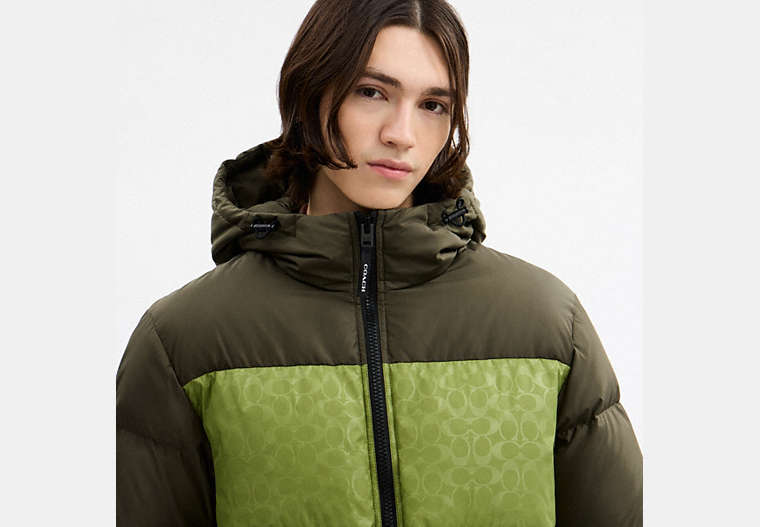 Colorblock Down Jacket