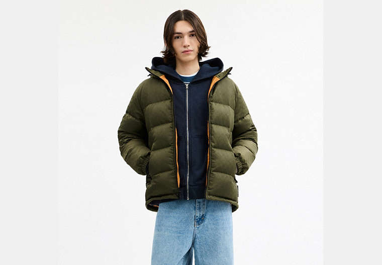 Tonal Signature Down Jacket