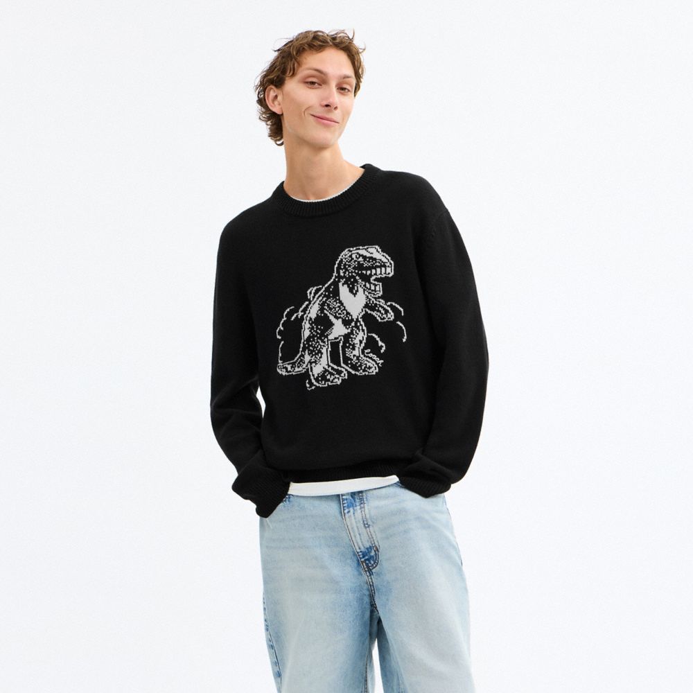 Rexy Sweater