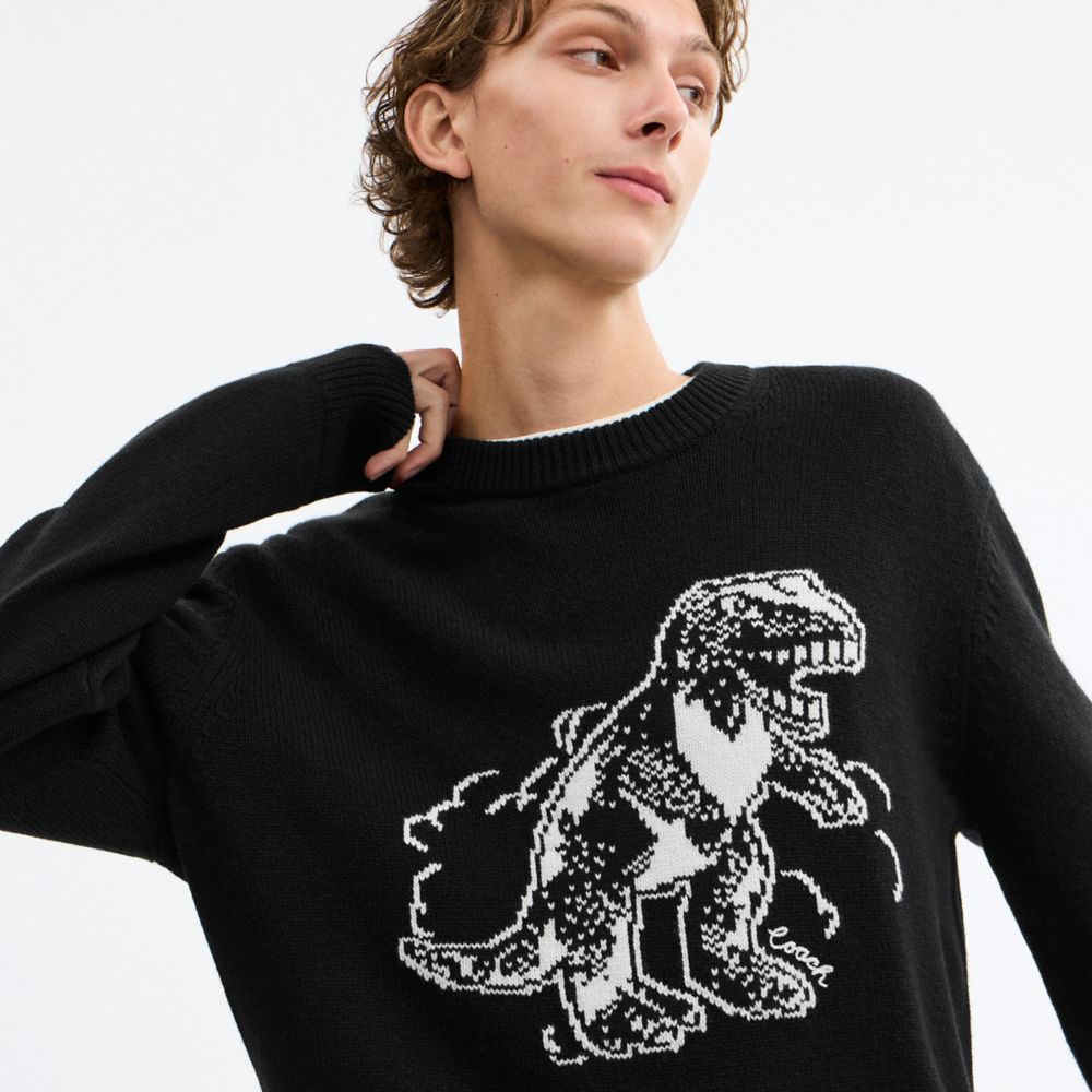 Rexy Sweater