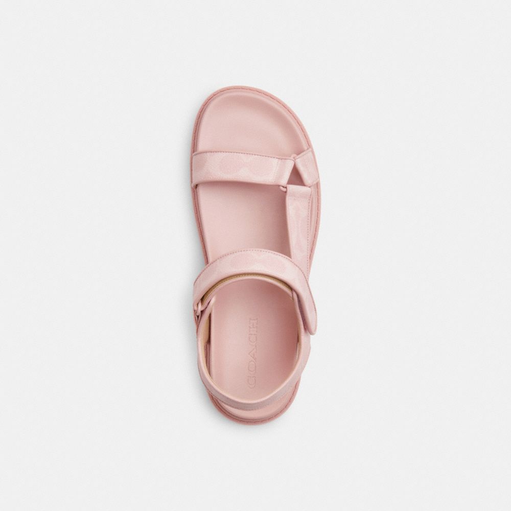 Sport Sandal In Signature Canvas
