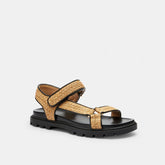 Sport Sandal