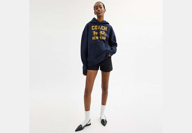 Horse And Carriage Hoodie