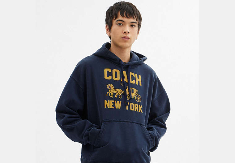 Horse And Carriage Hoodie
