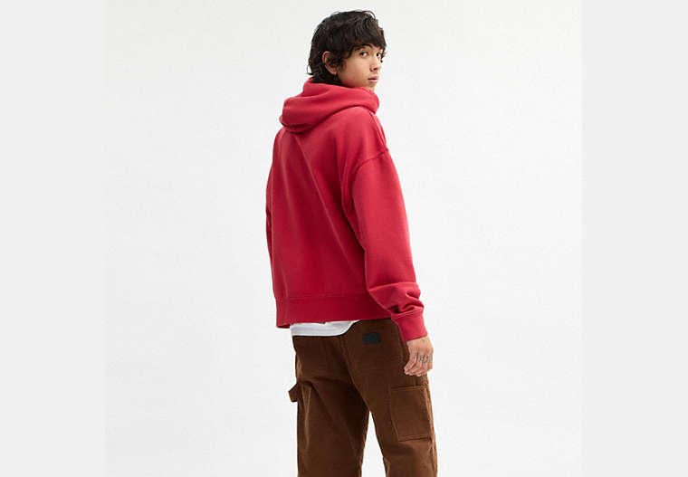 Horse And Carriage Hoodie