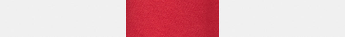 Horse And Carriage Hoodie