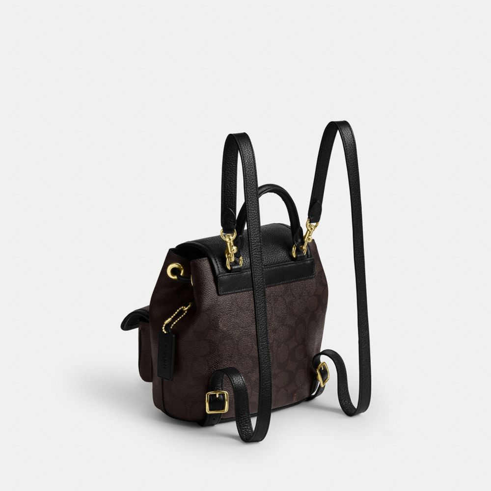 Hadley Backpack In Signature Canvas