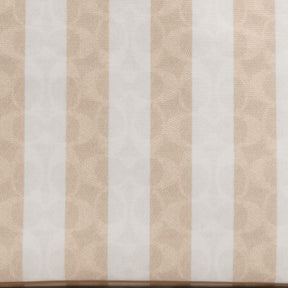 Large City Tote Bag In Signature Canvas With Stripe