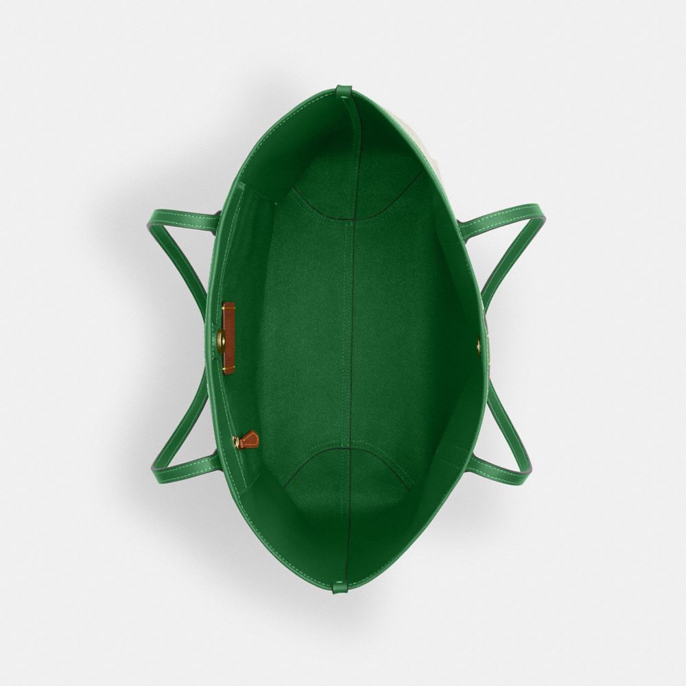 City Tote Bag In Signature Canvas With Coach Graphic