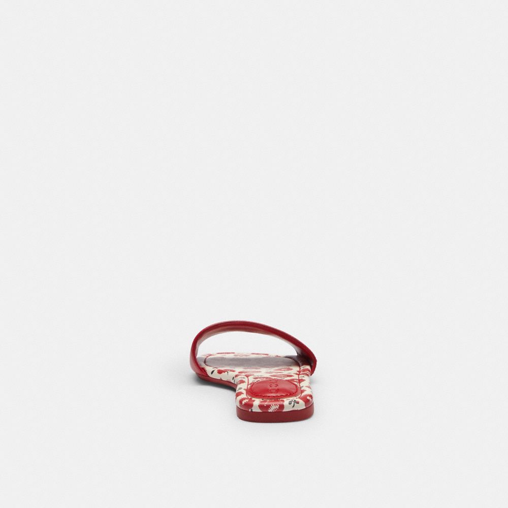 Slide Sandal With Floral Print