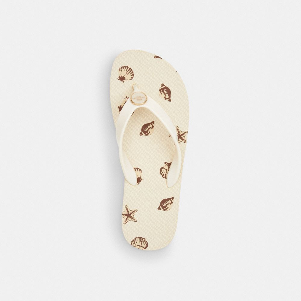 Zayn Flip Flop With Shell Print