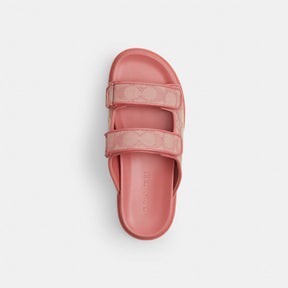 Two Band Sport Slide In Signature Jacquard