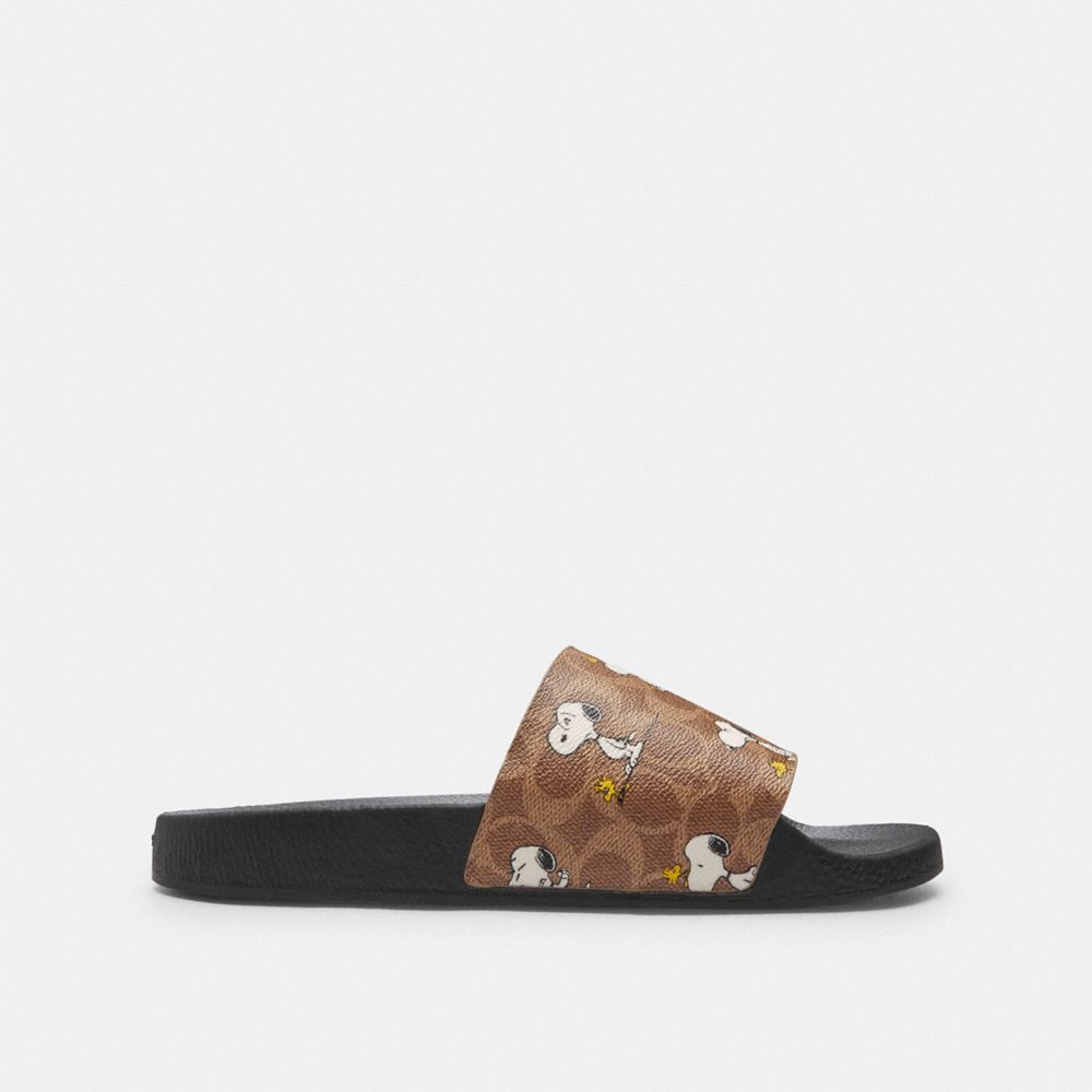 Coach X Peanuts Pool Slide In Signature Canvas With Snoopy Print