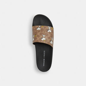Coach X Peanuts Pool Slide In Signature Canvas With Snoopy Print