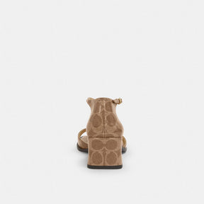 Block Heel Sandal In Signature Canvas
