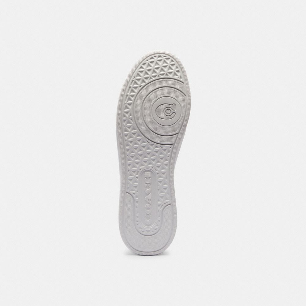 High Line Sneaker In Signature Canvas