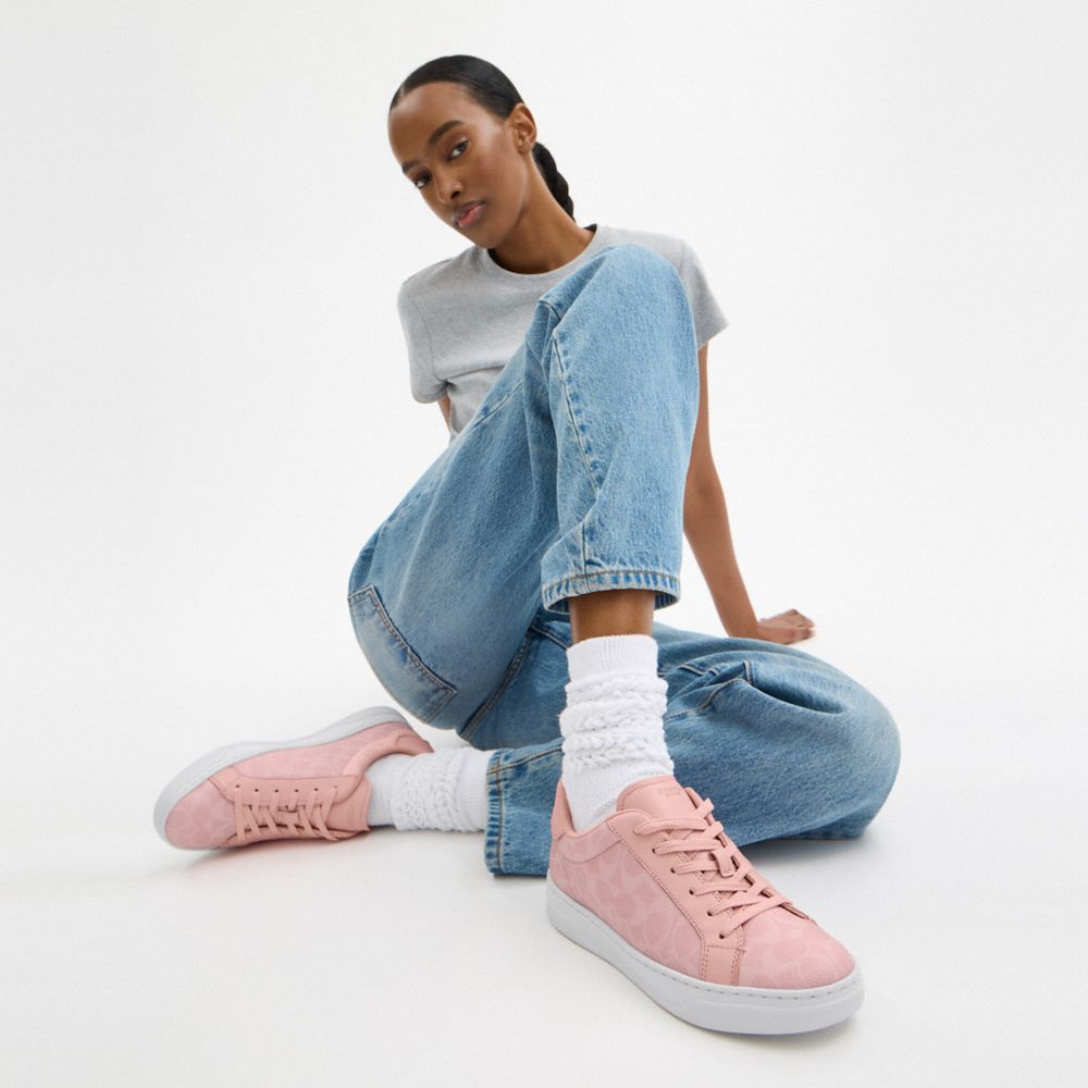 High Line Sneaker In Signature Canvas