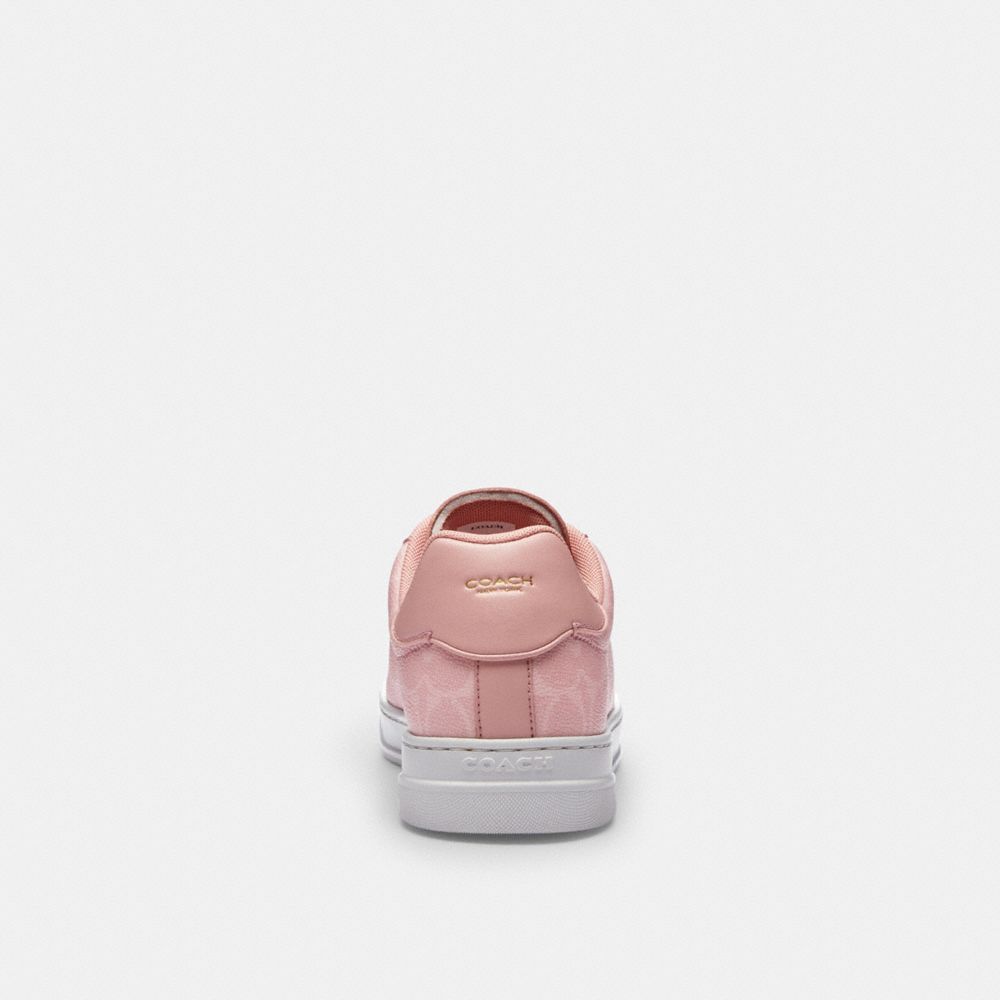 High Line Sneaker In Signature Canvas
