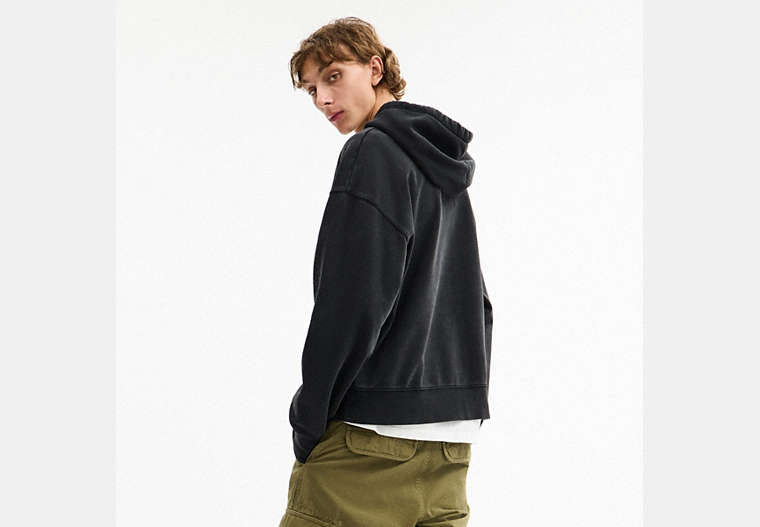 T-Rex Hoodie
