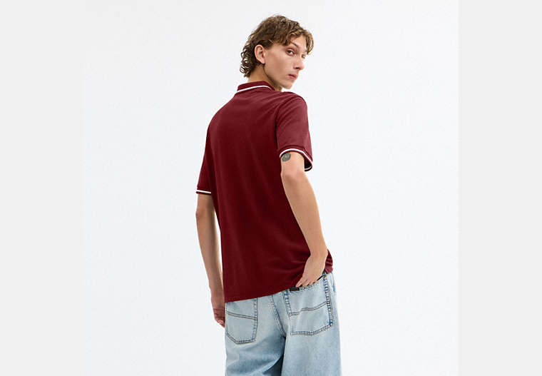 Signature Trim Polo In Organic Cotton