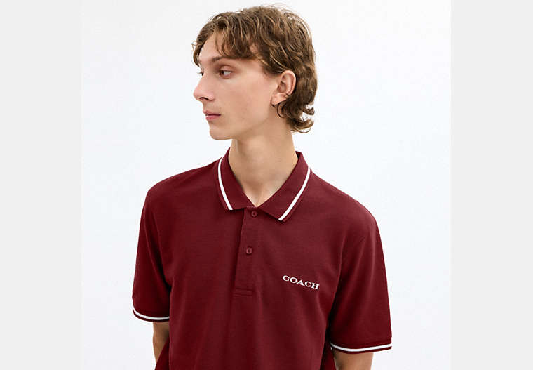 Signature Trim Polo In Organic Cotton