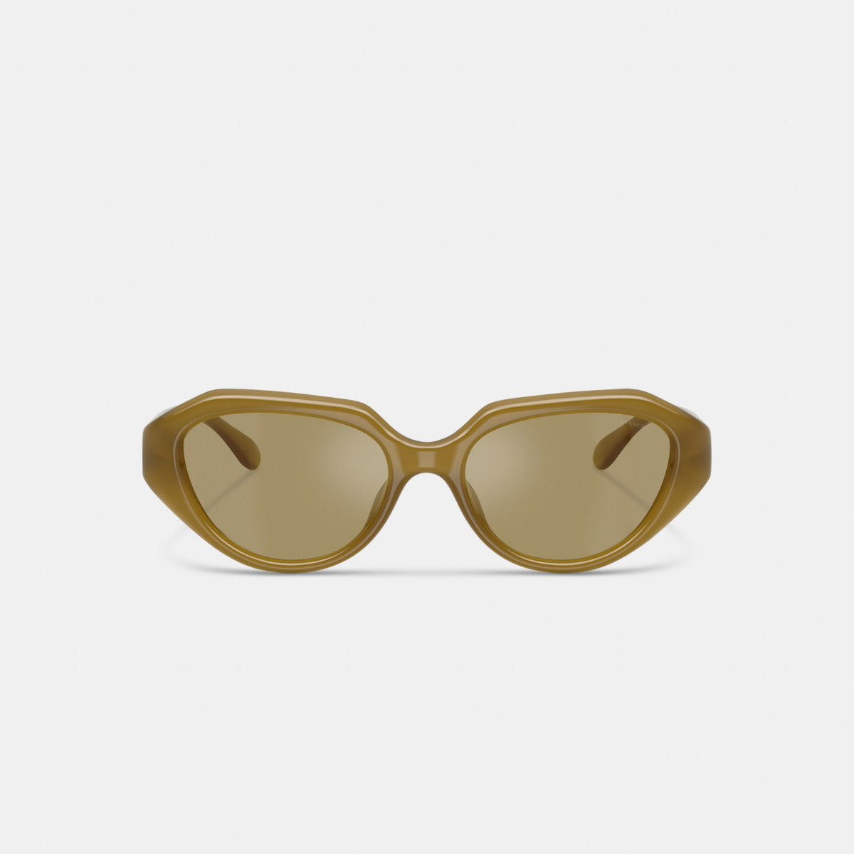C Hardware Geometric Sunglasses