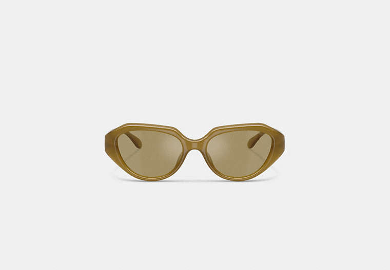 C Hardware Geometric Sunglasses