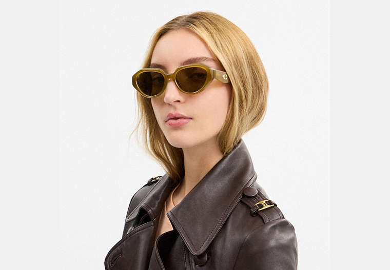 C Hardware Geometric Sunglasses