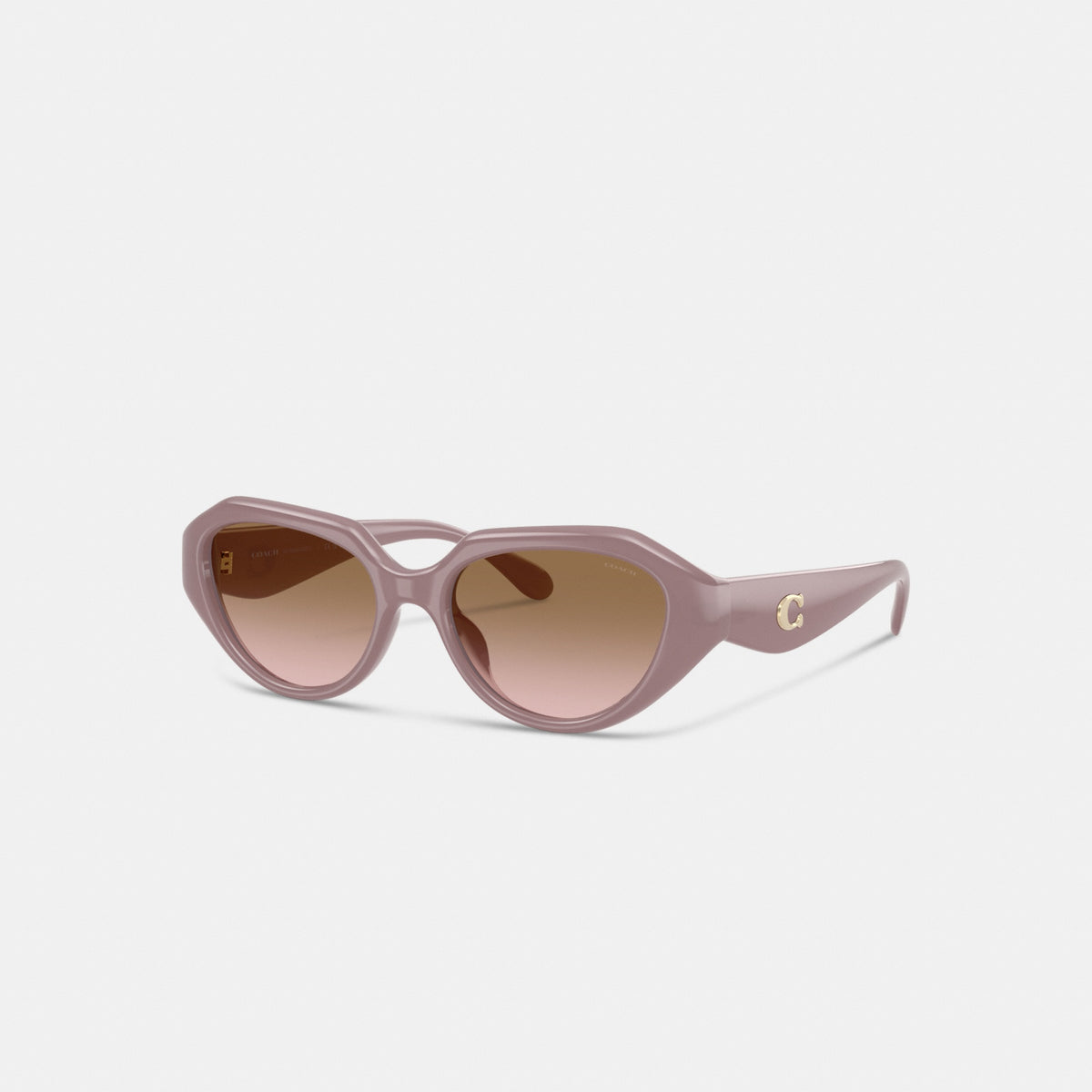 C Hardware Geometric Sunglasses