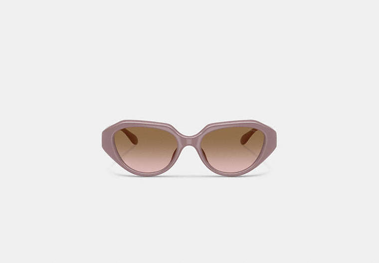 C Hardware Geometric Sunglasses